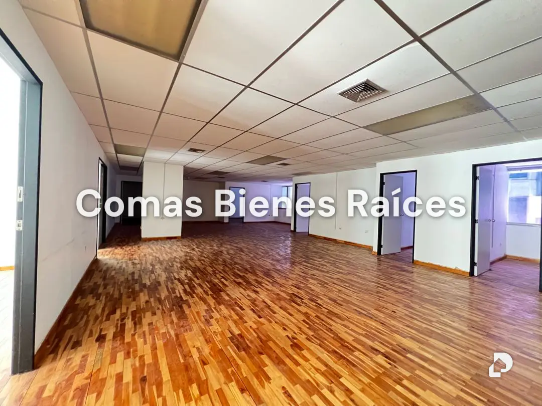 Oficina en Los Palos Grandes, Caracas – 1