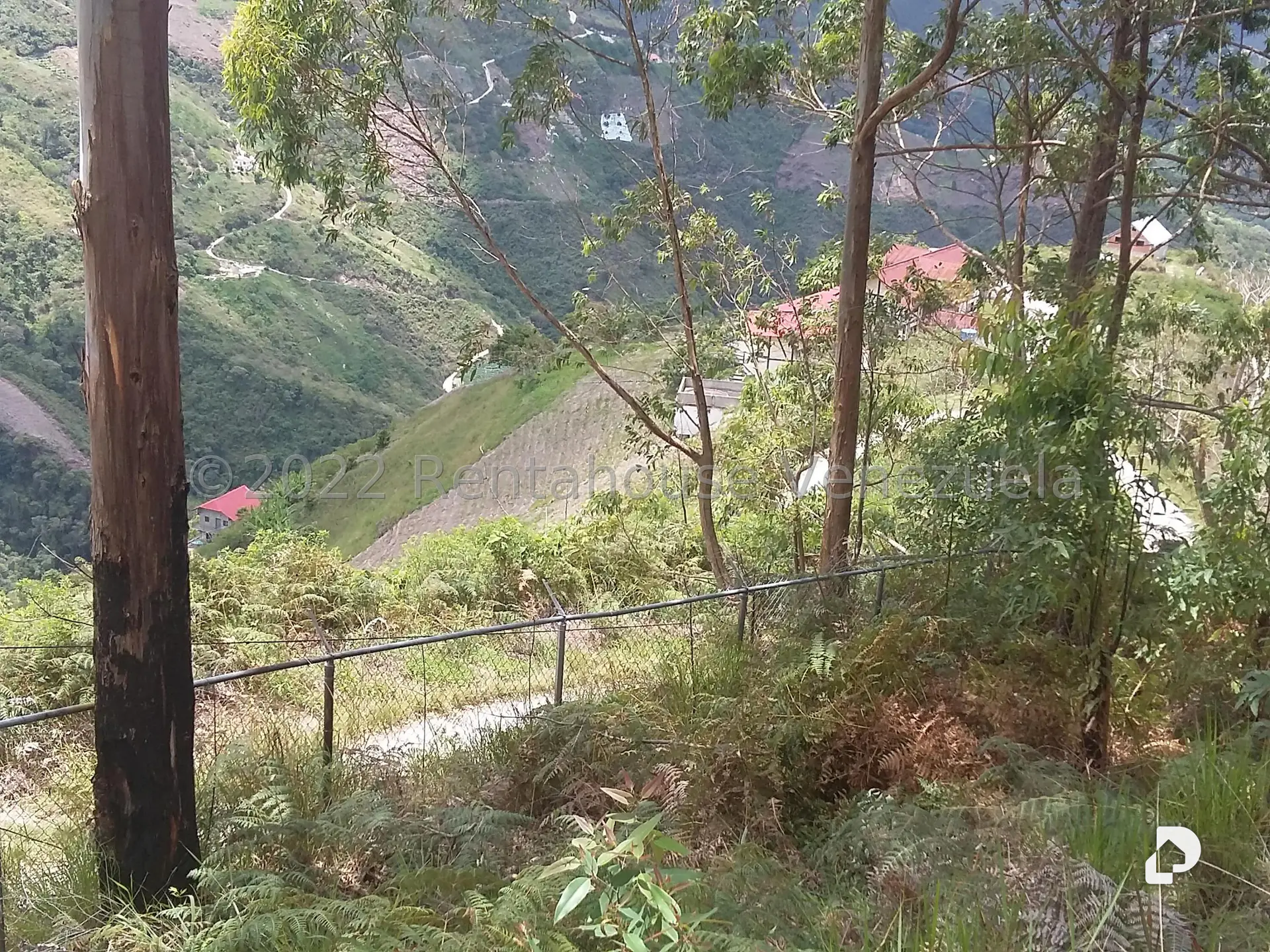 Land in Sector Potrero Perdido, Colonia Tovar – 16