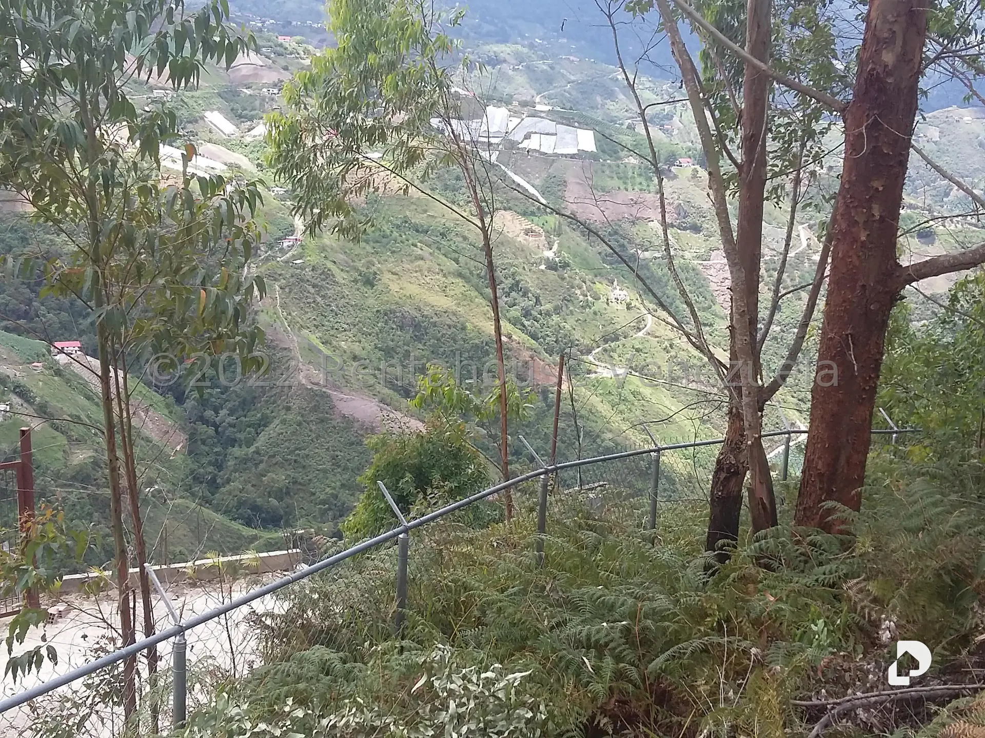 Land in Sector Potrero Perdido, Colonia Tovar – 13