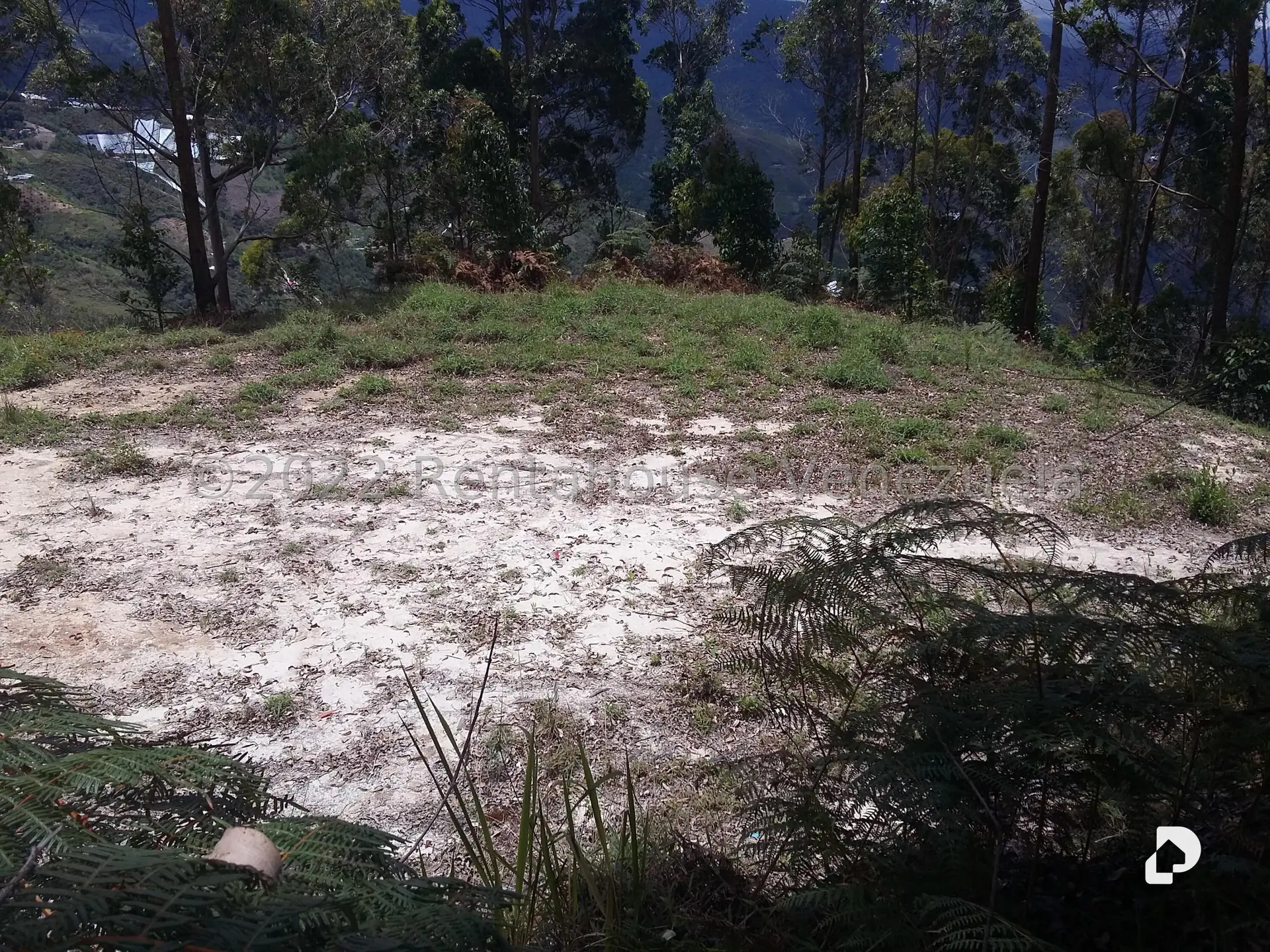 Land in Sector Potrero Perdido, Colonia Tovar – 8