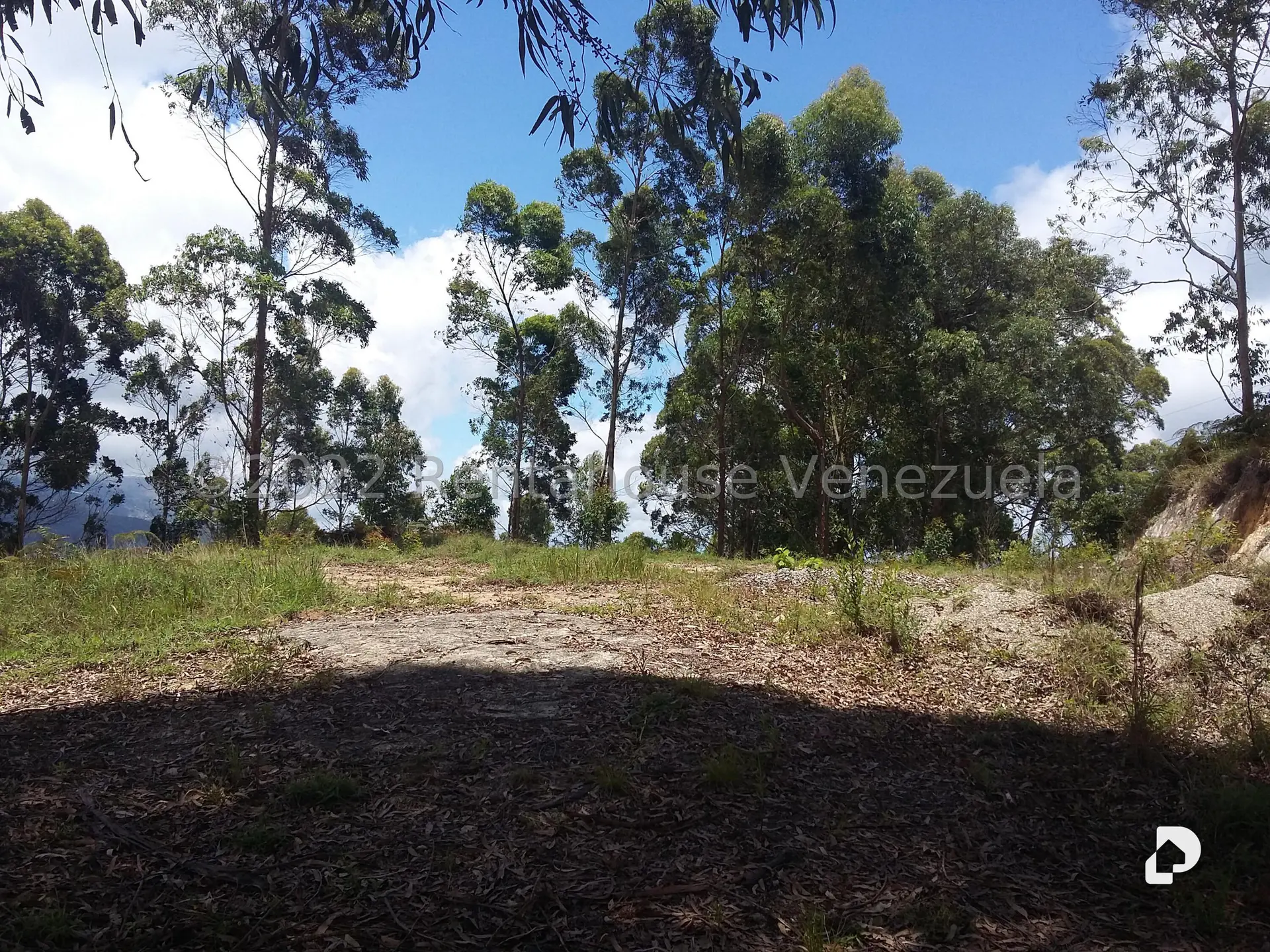 Land in Sector Potrero Perdido, Colonia Tovar – 6