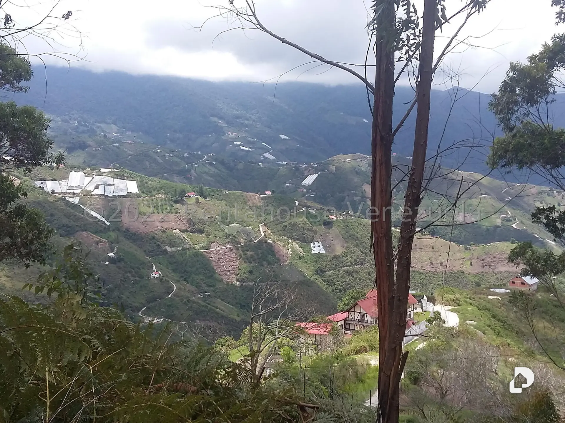 Land in Sector Potrero Perdido, Colonia Tovar – 17