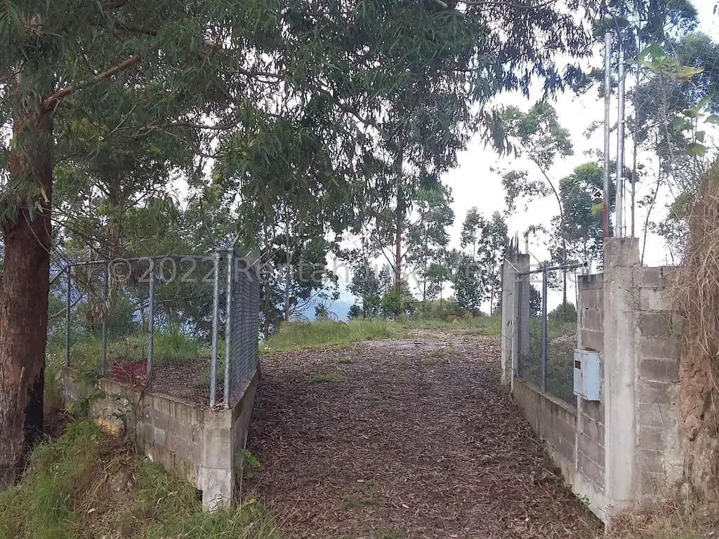 Land in Sector Potrero Perdido, Colonia Tovar - 1
