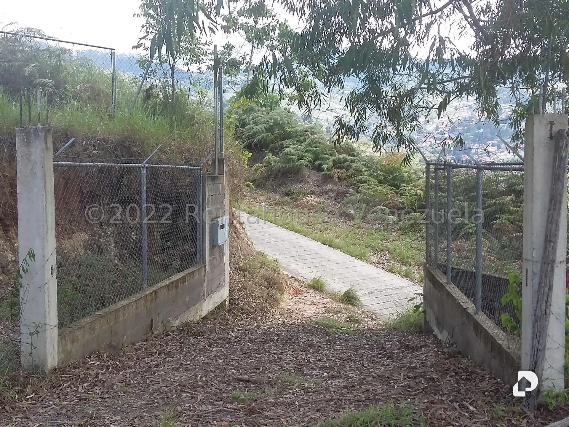 Land in Sector Potrero Perdido, Colonia Tovar – 4