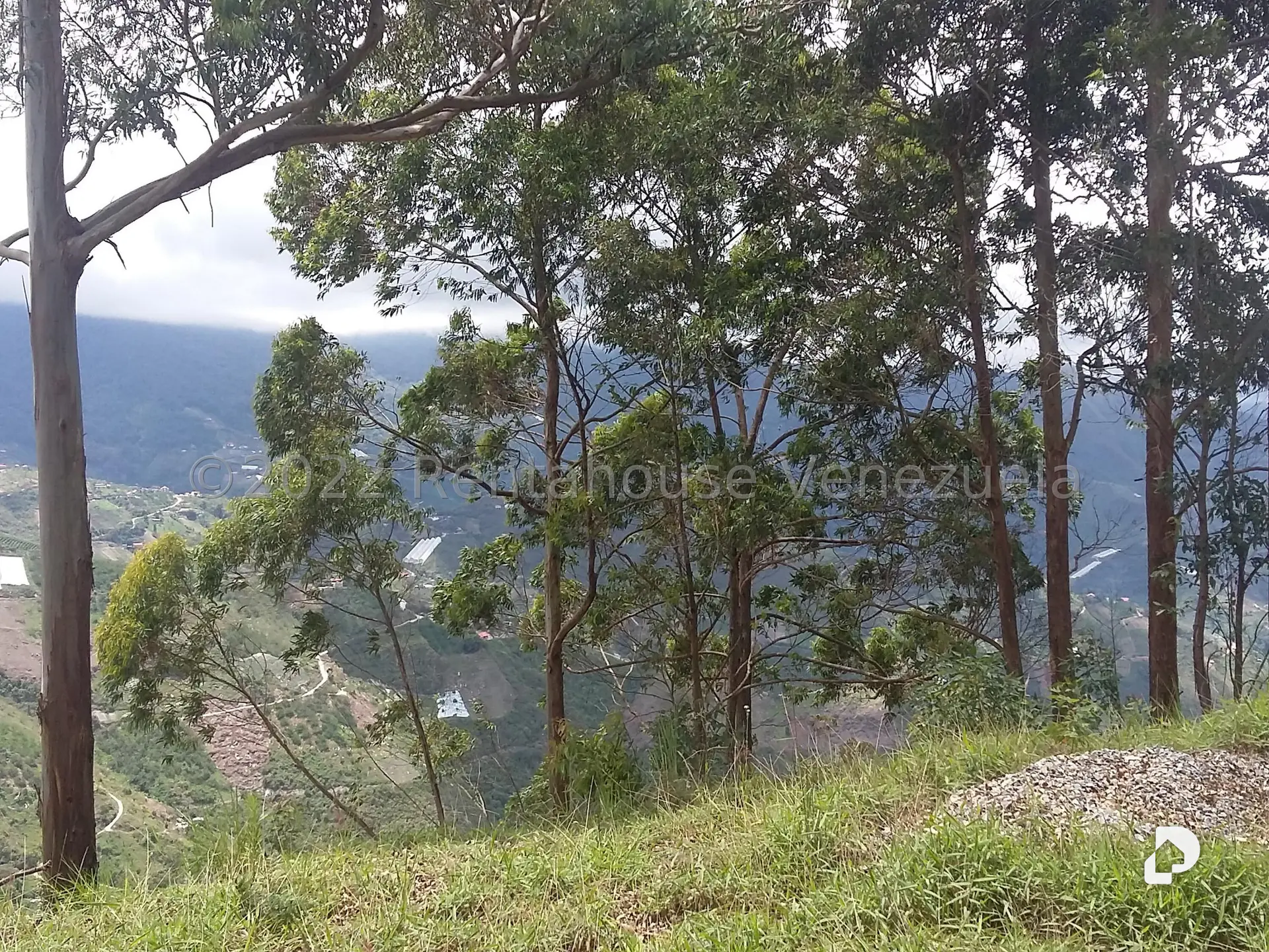 Land in Sector Potrero Perdido, Colonia Tovar – 15