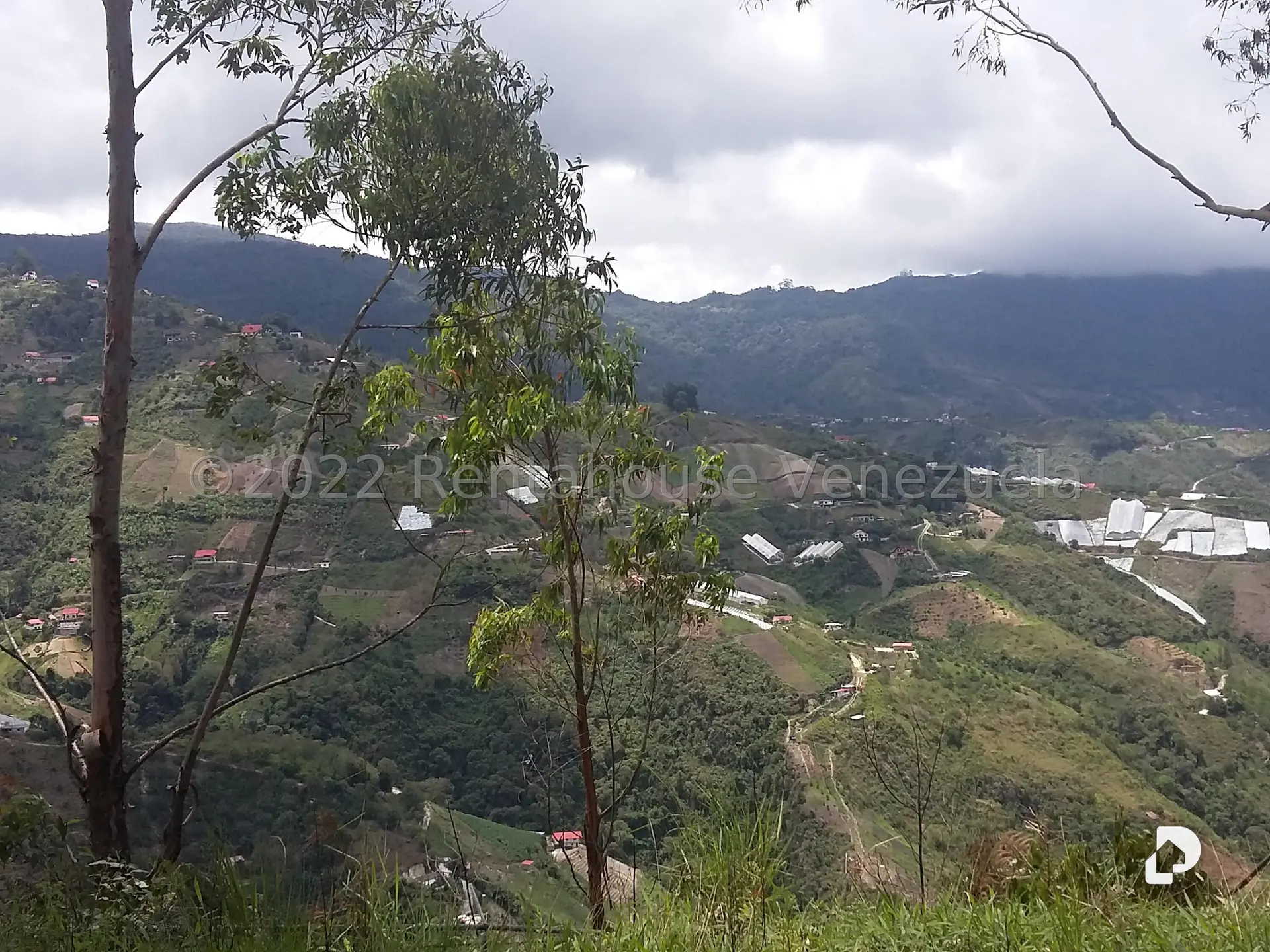 Land in Sector Potrero Perdido, Colonia Tovar – 14