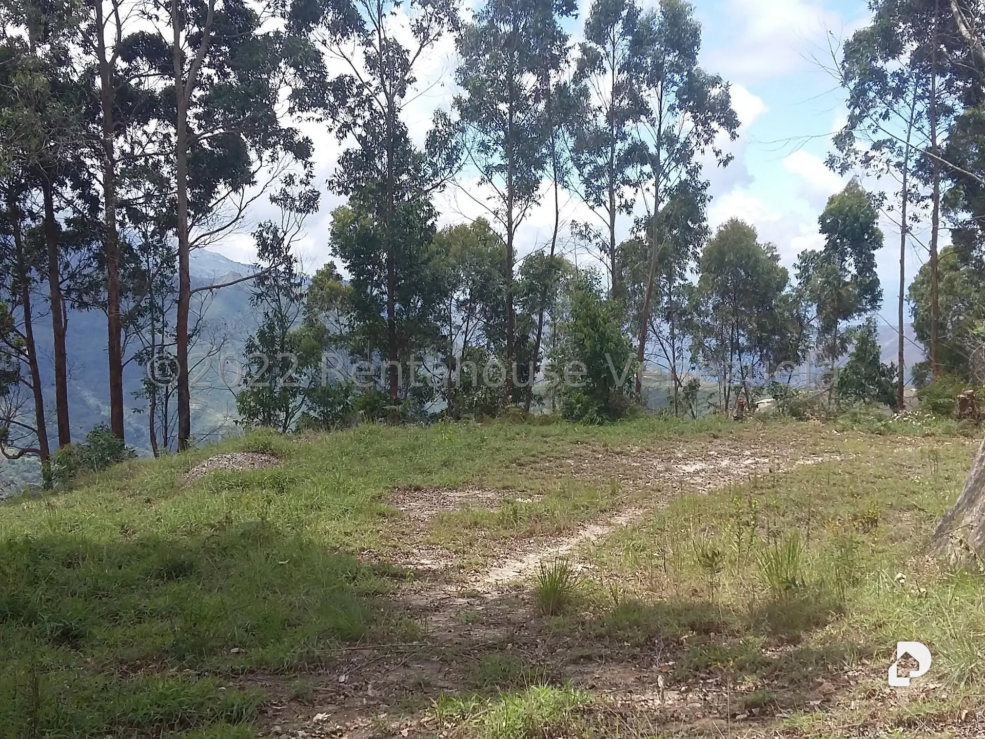 Land in Sector Potrero Perdido, Colonia Tovar – 5