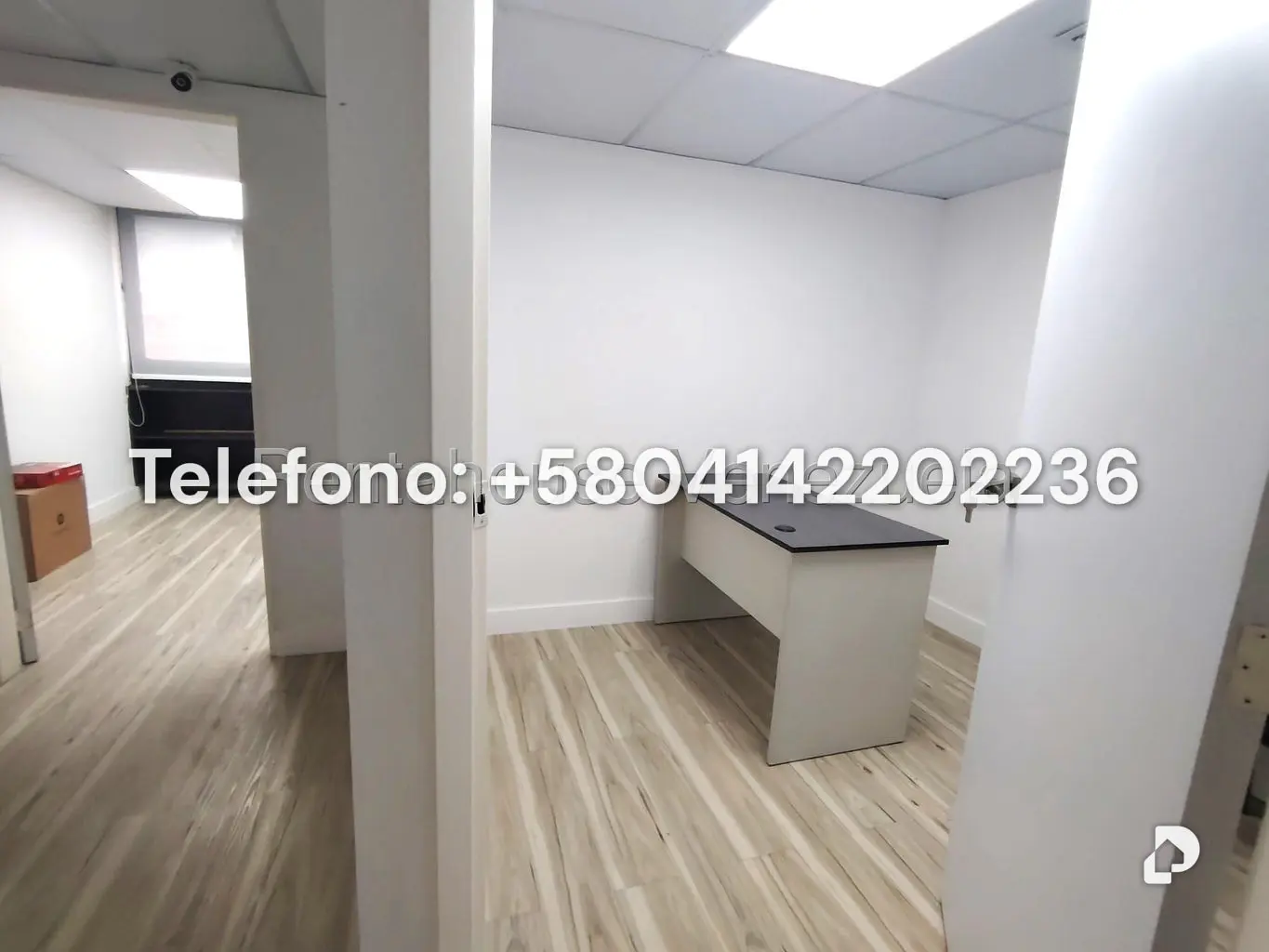 Oficina en Los Ruices, Caracas – 19