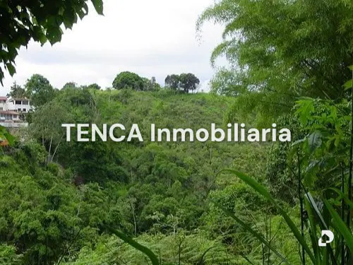 Land in La Unión, Caracas – 8