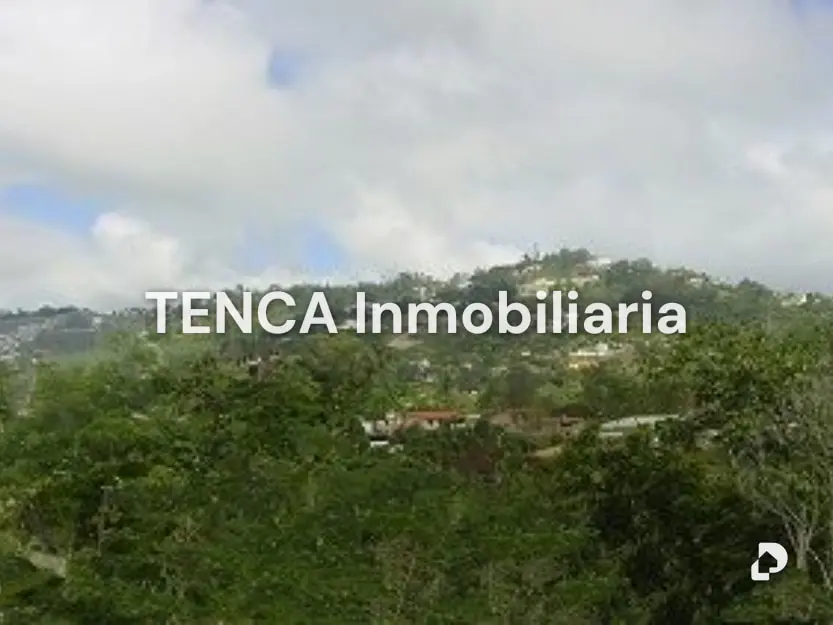 Land in La Unión, Caracas – 11
