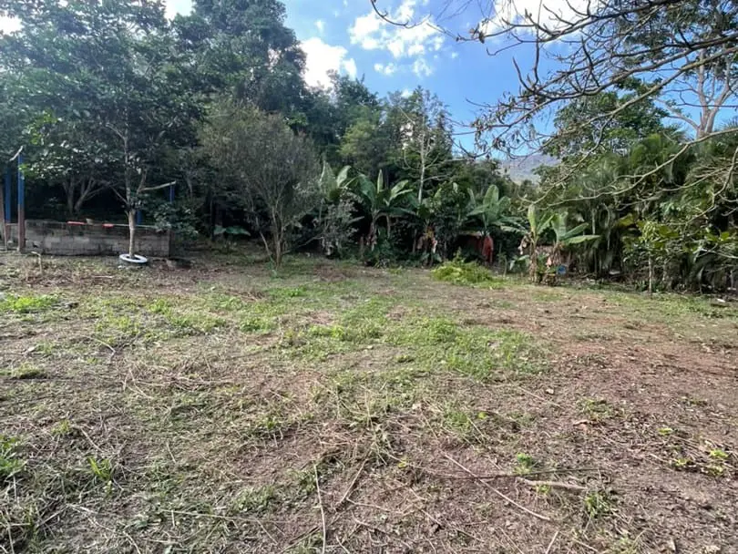 Terreno en Montalbán - 1