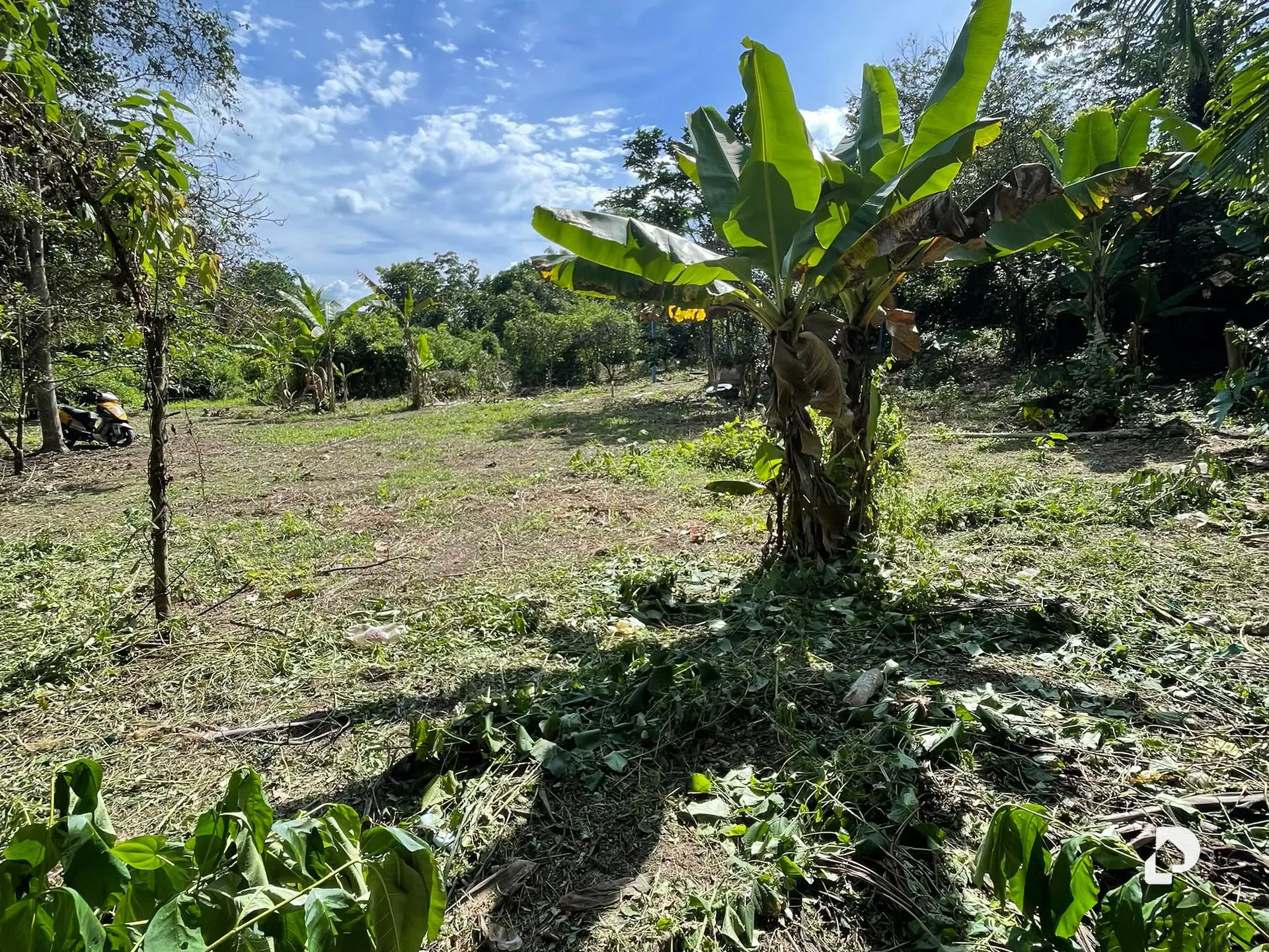 Terreno en Montalbán – 13