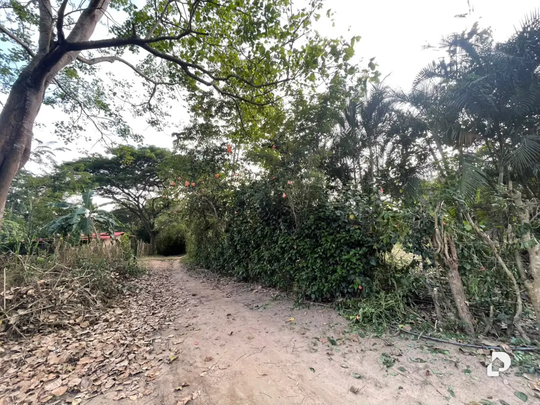 Terreno en Montalbán – 3