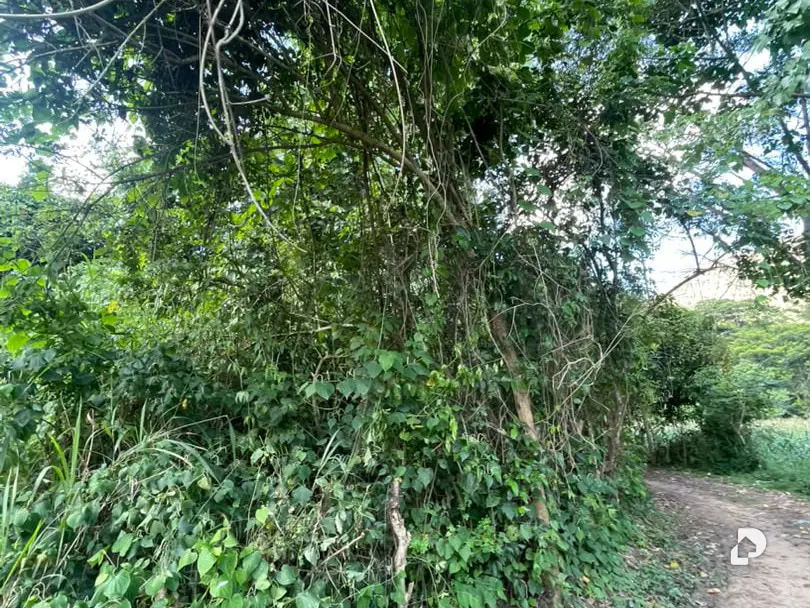 Terreno en Montalbán – 6