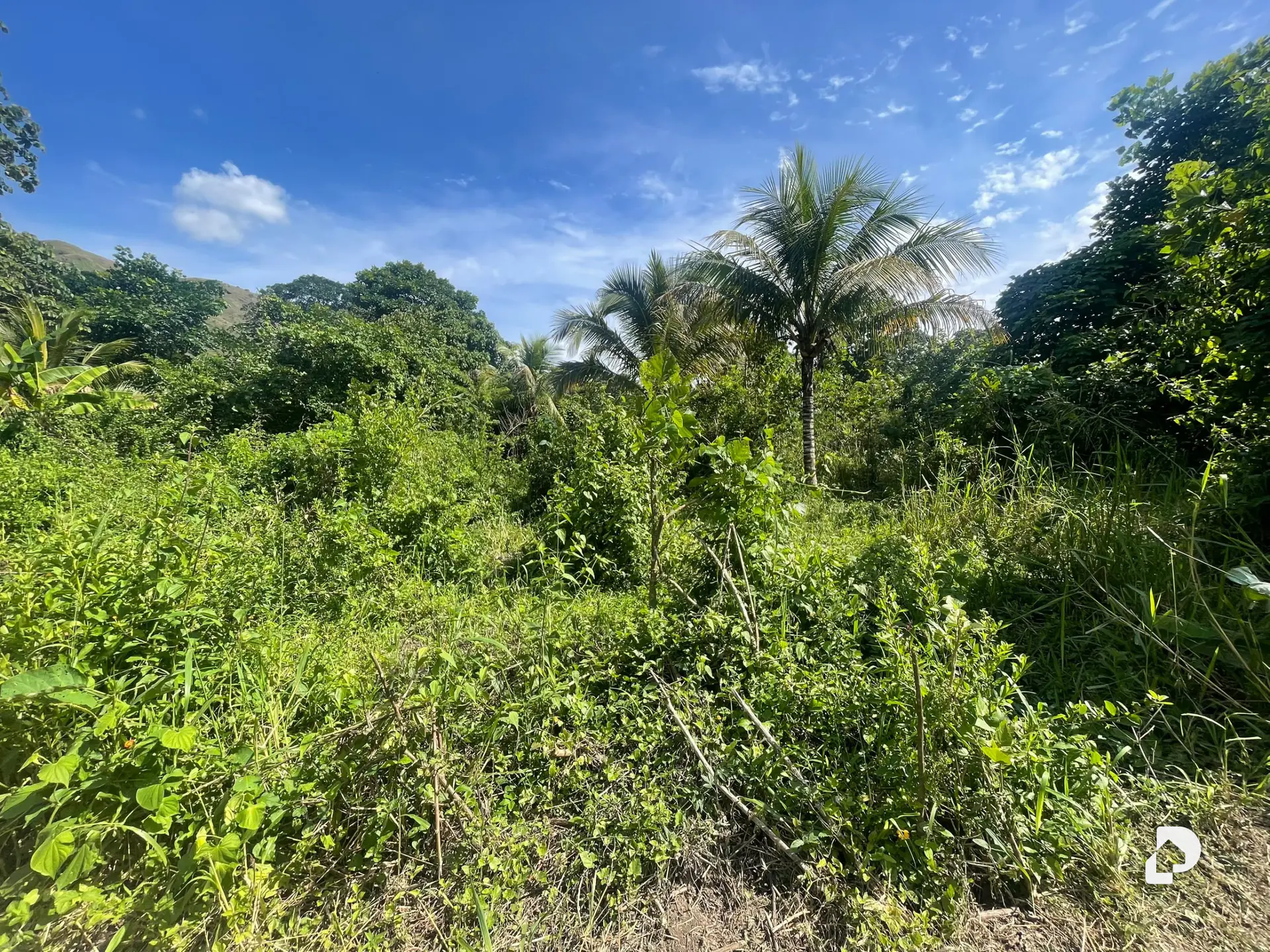 Terreno en Montalbán – 10