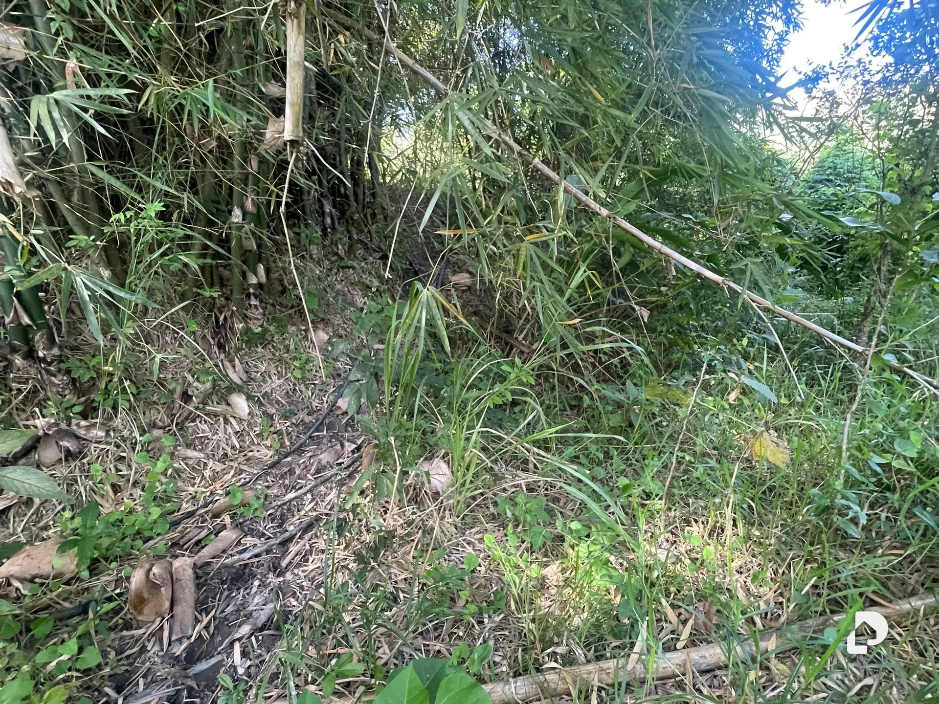 Terreno en Montalbán – 8