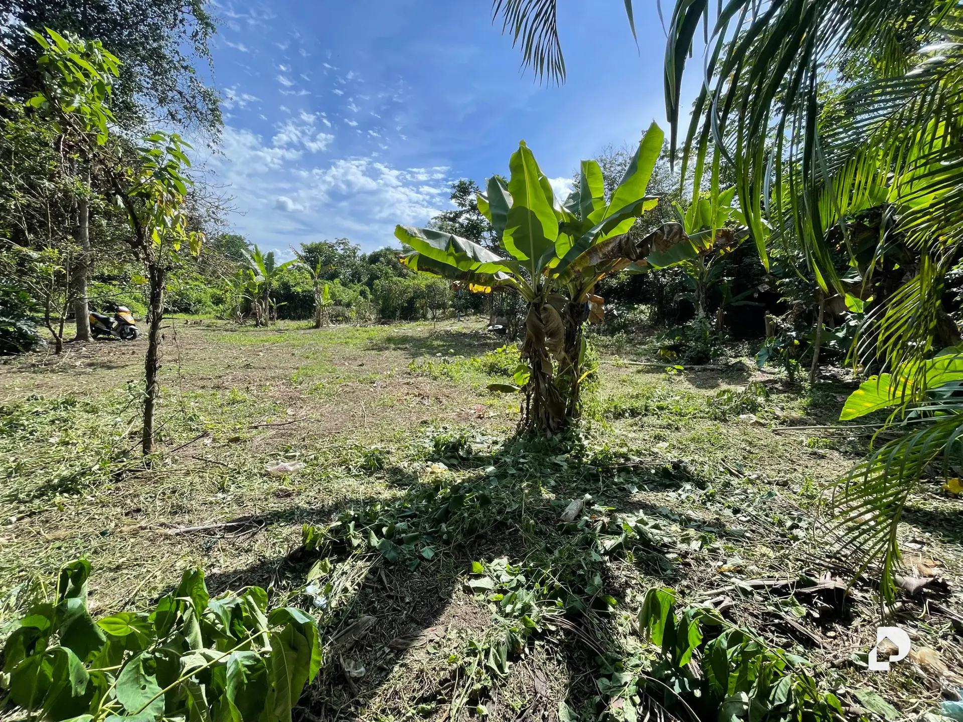 Terreno en Montalbán – 15
