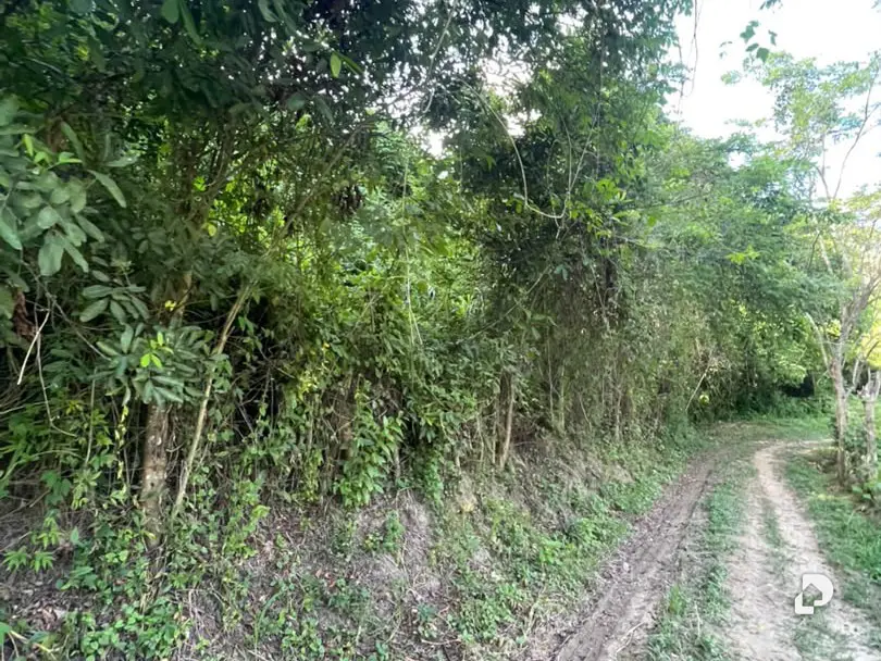 Terreno en Montalbán – 7