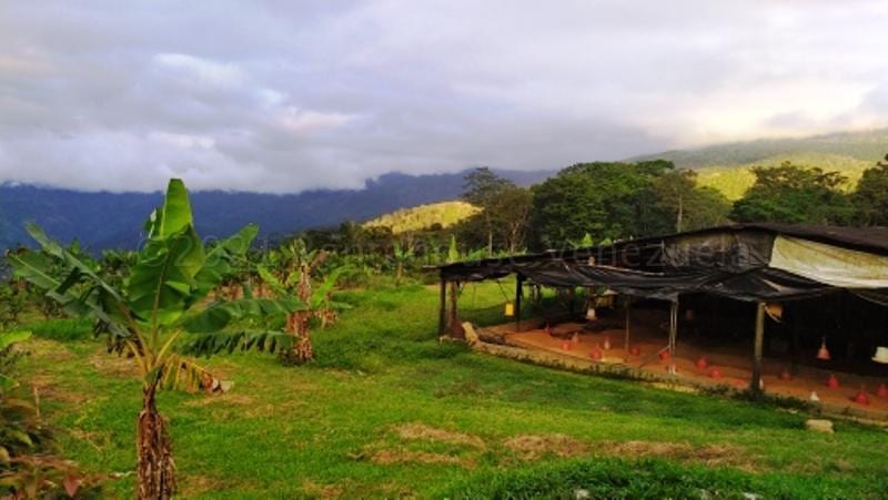 Terreno en Canoabo, Bejuma - 1