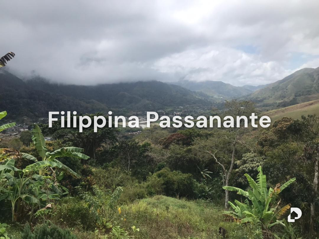 Finca en San Agustín, Caripe – 2