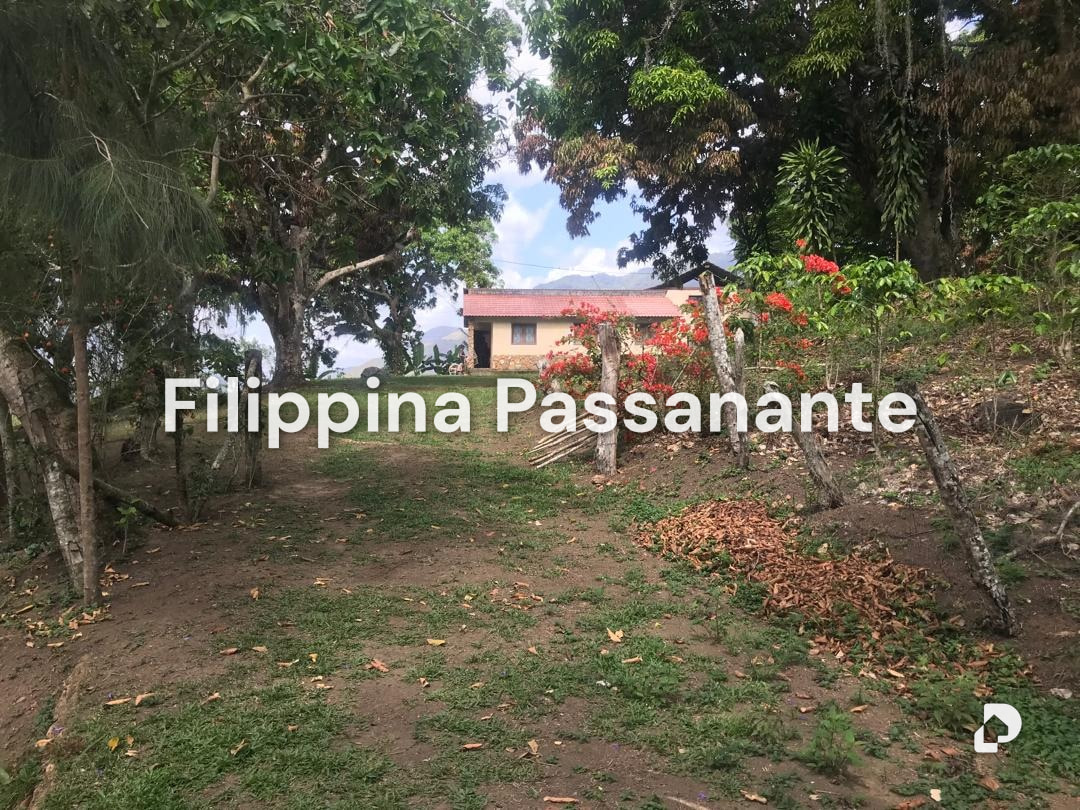 Finca en San Agustín, Caripe – 9
