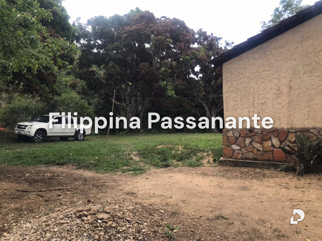 Finca en San Agustín, Caripe – 4