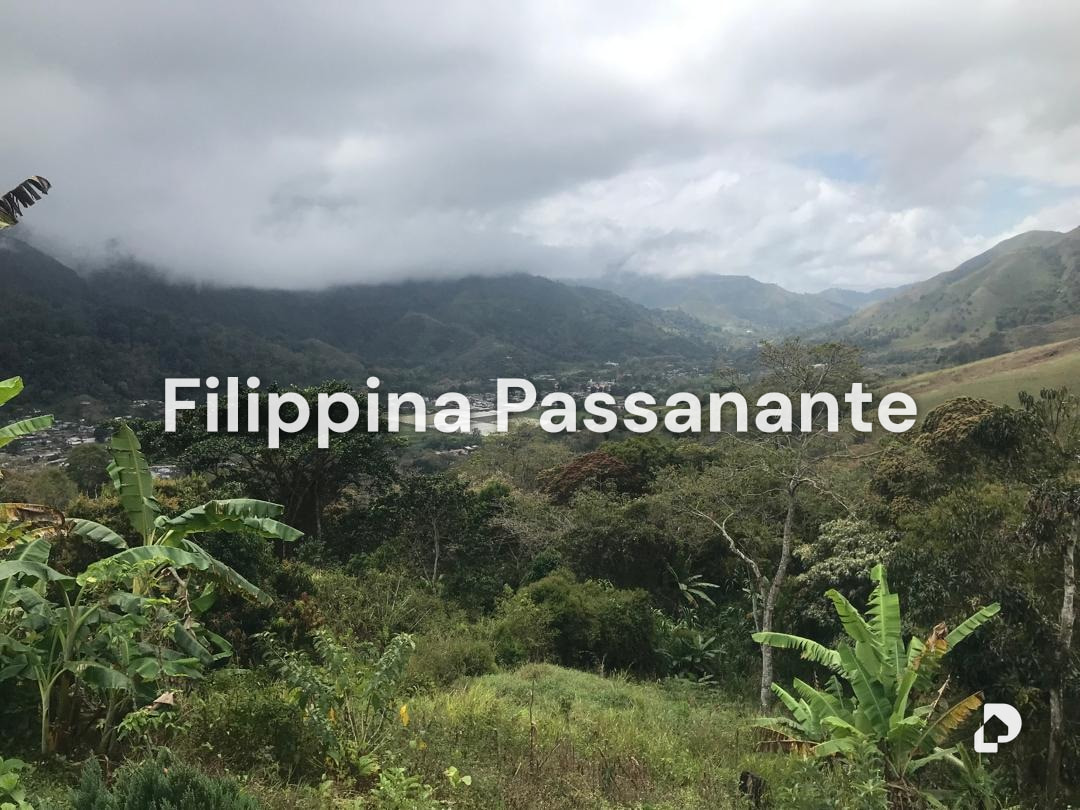 Finca en San Agustín, Caripe – 8