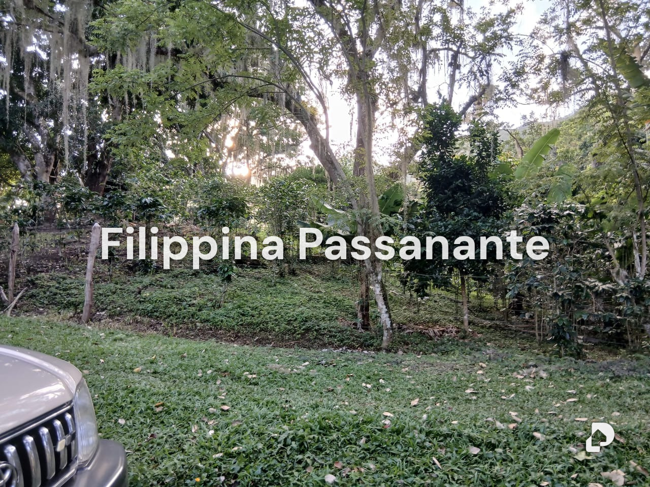 Finca en San Agustín, Caripe – 10