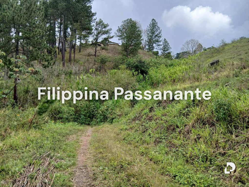Terreno en El Copey, Caripe – 3