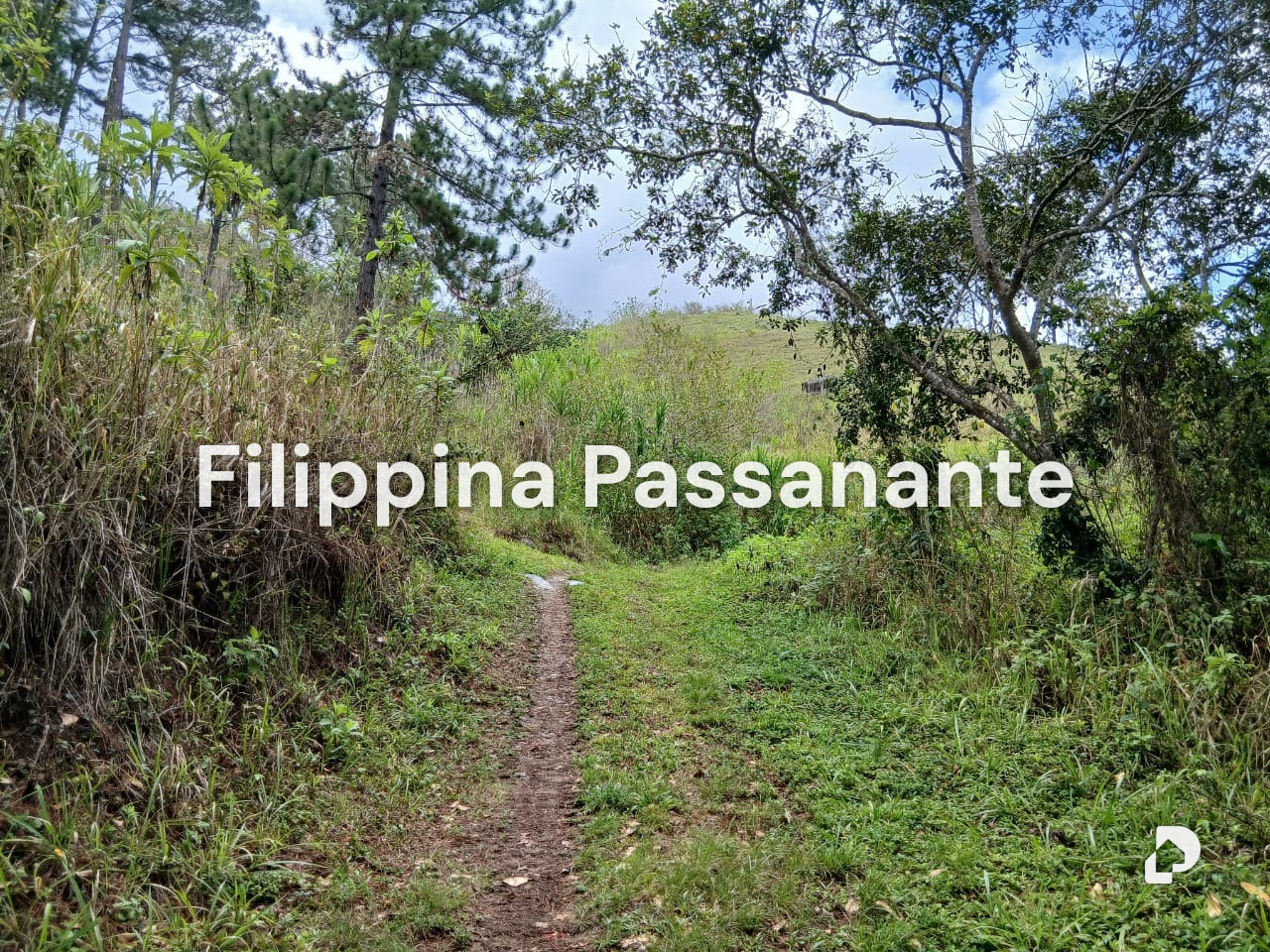Terreno en El Copey, Caripe – 8