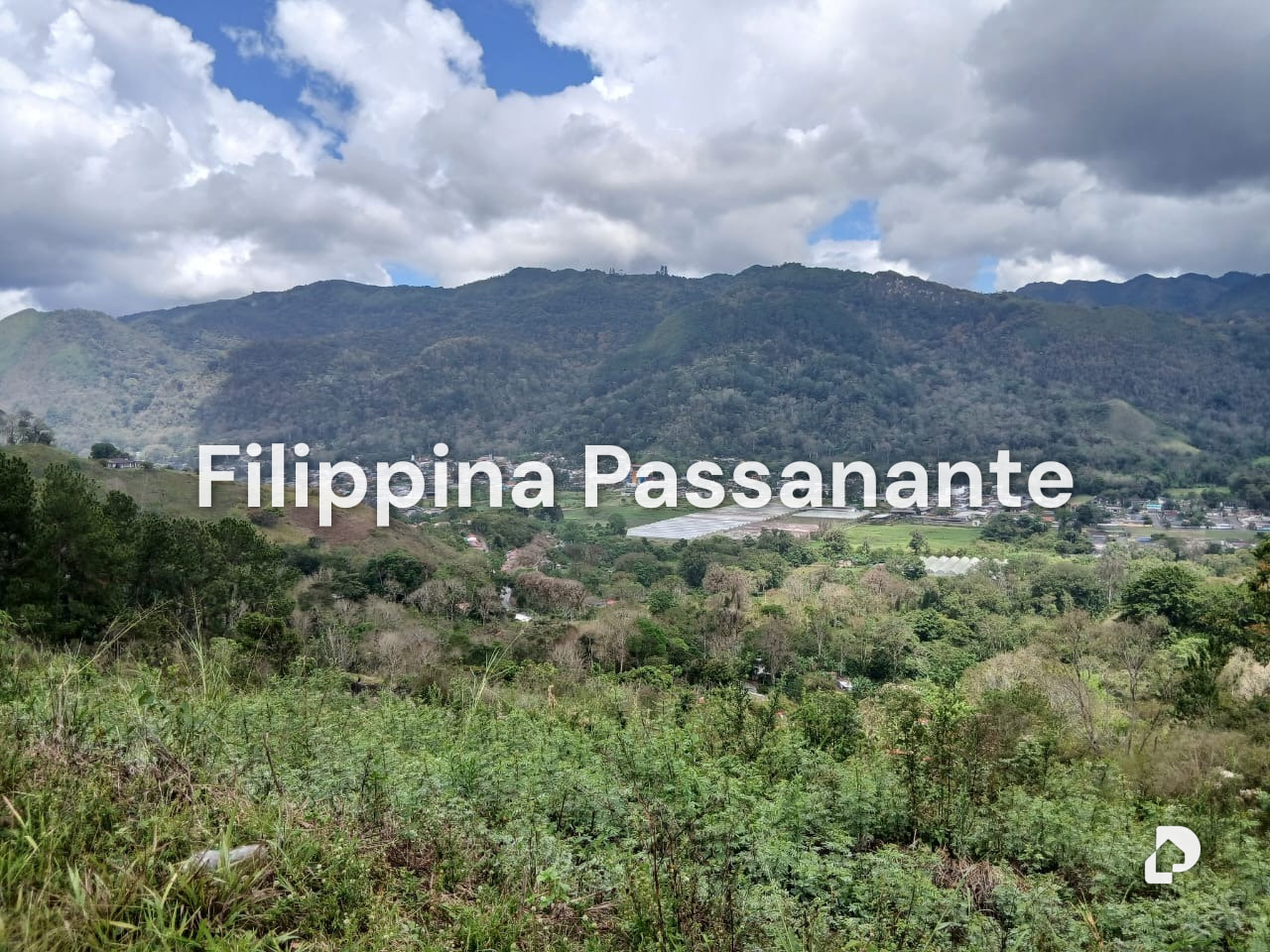 Terreno en El Copey, Caripe – 7