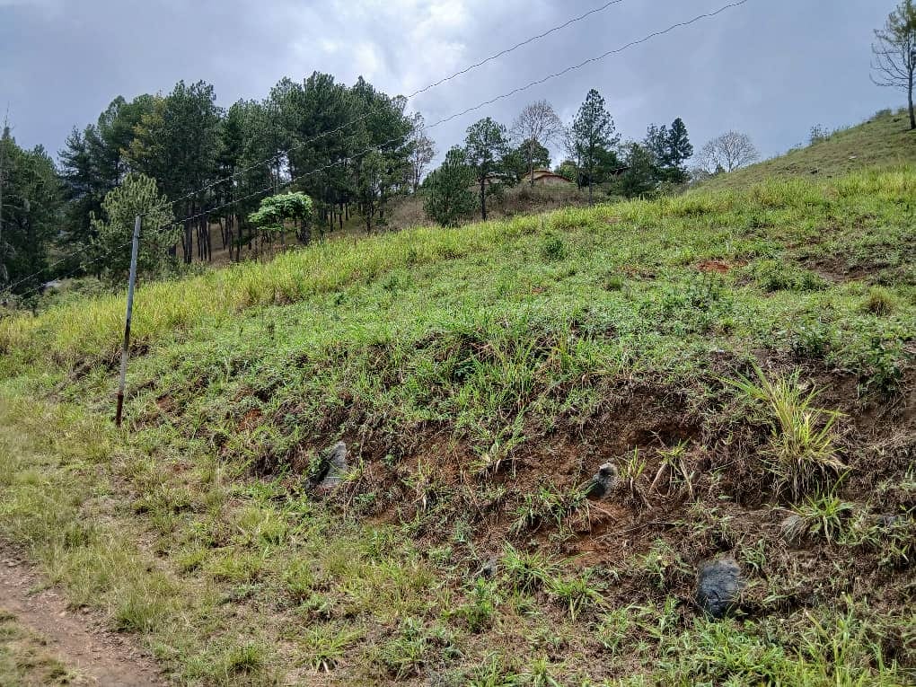 Terreno en El Copey, Caripe - 1