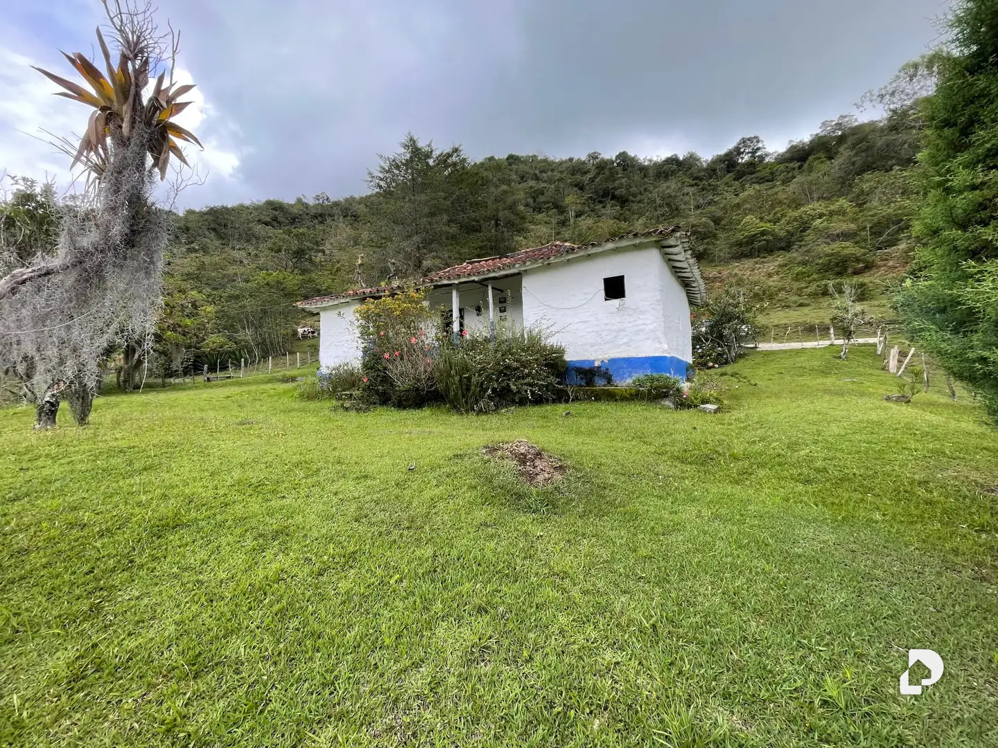Finca en El Vallecito, sector El Alto, Gonzalo Picón Febres – 2