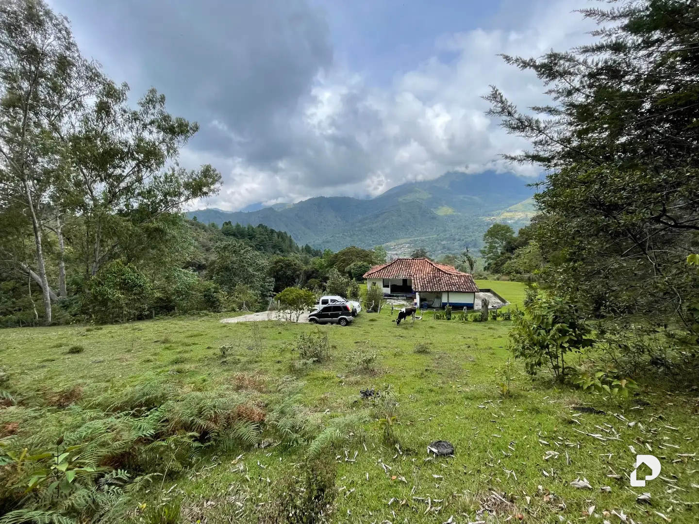 Finca en El Vallecito, sector El Alto, Gonzalo Picón Febres – 14