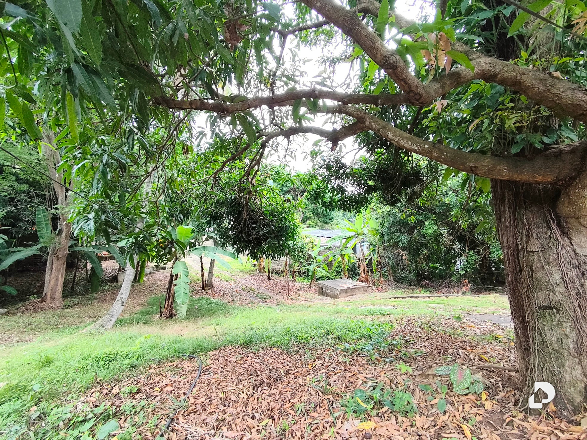 Terreno en El Castaño – 4