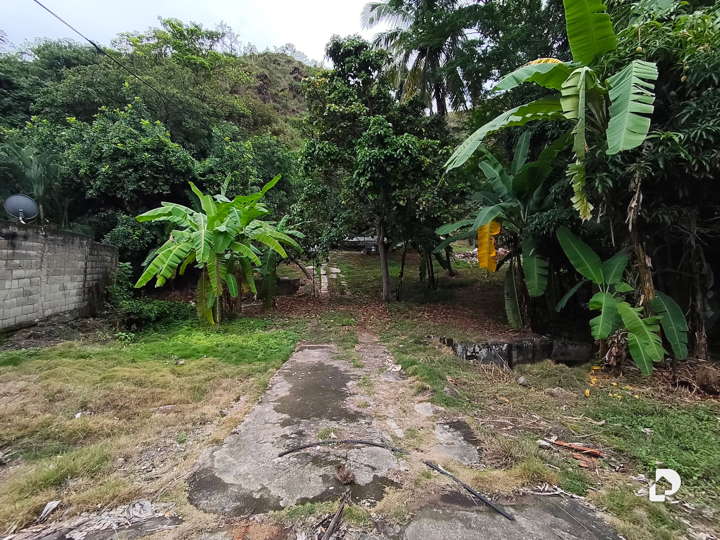 Terreno en El Castaño – 5