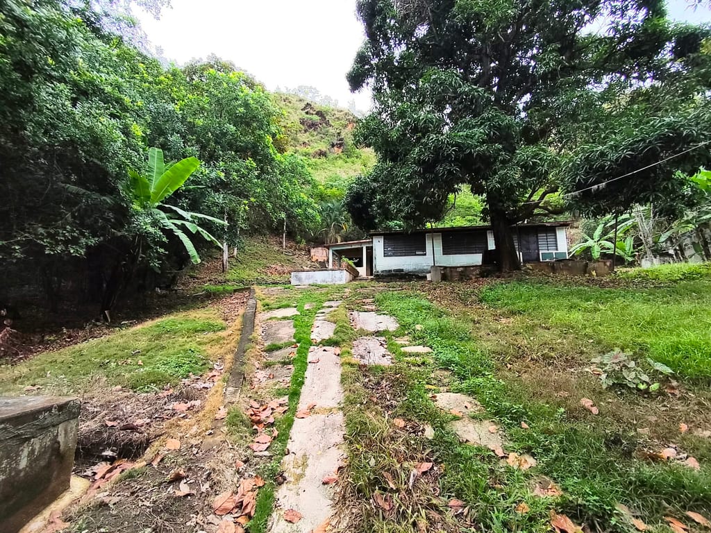 Terreno en El Castaño - 1