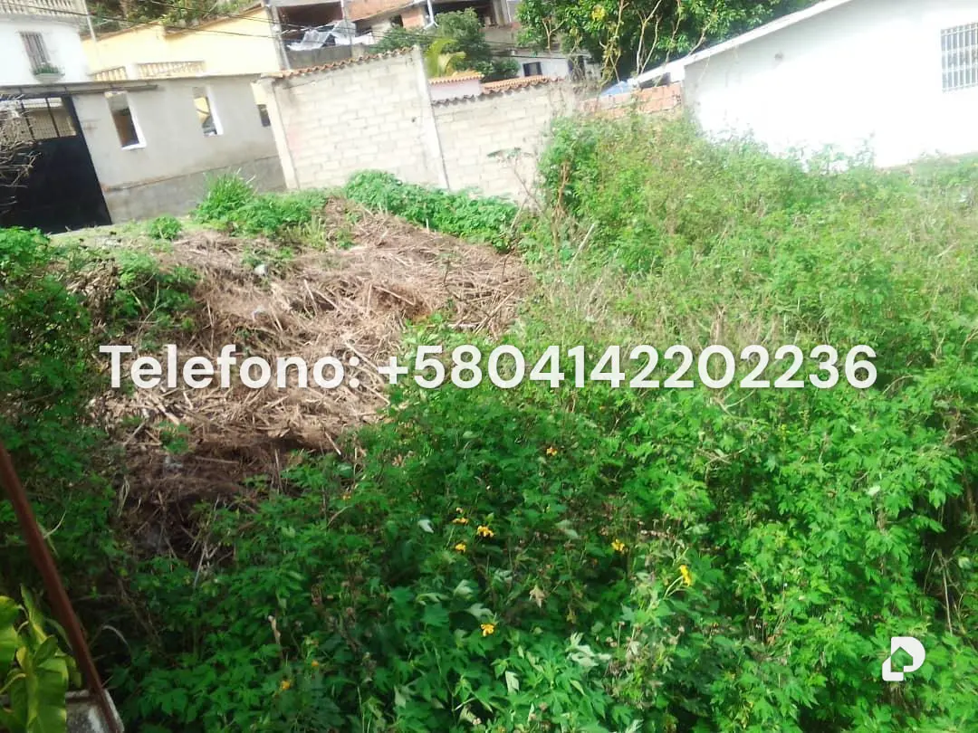 Terreno en El Junquito, Caracas – 6