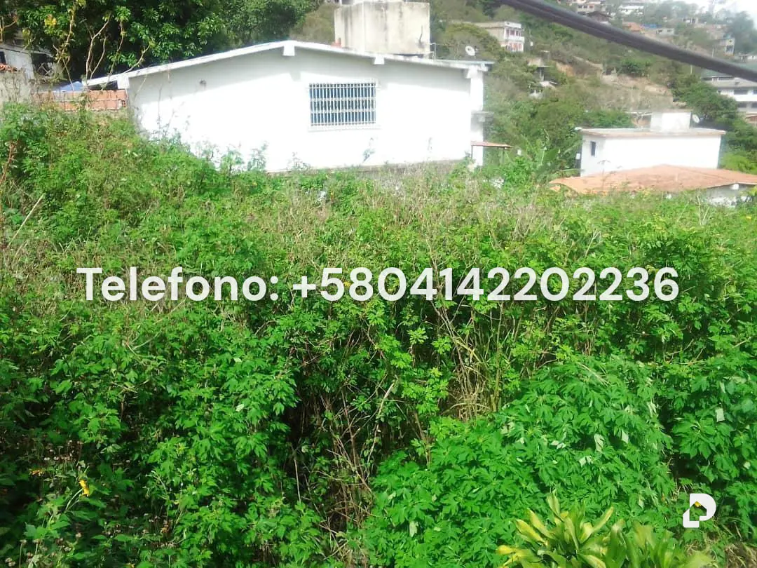 Terreno en El Junquito, Caracas – 5