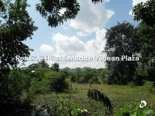 Terreno en Yagua, Guacara – 4