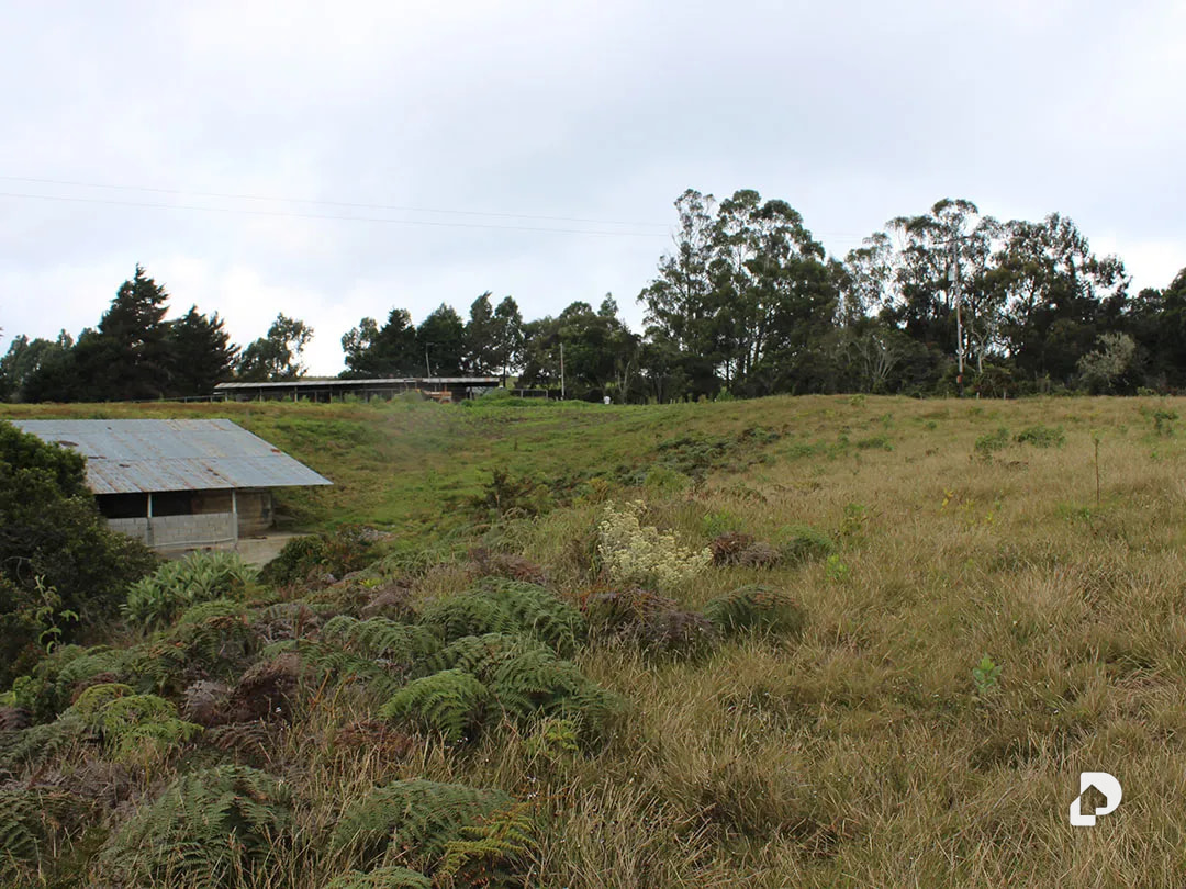 Farm in Vía Pueblos Del Sur, Los Joques – 12