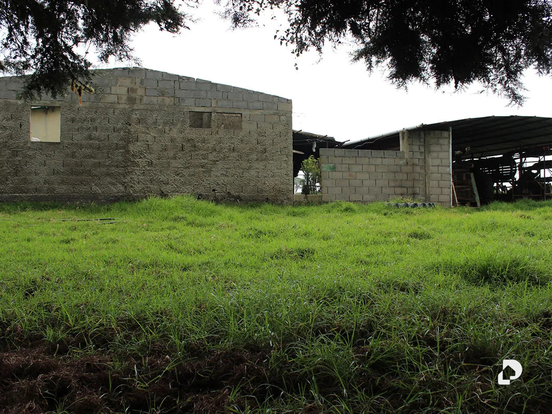 Farm in Vía Pueblos Del Sur, Los Joques – 42