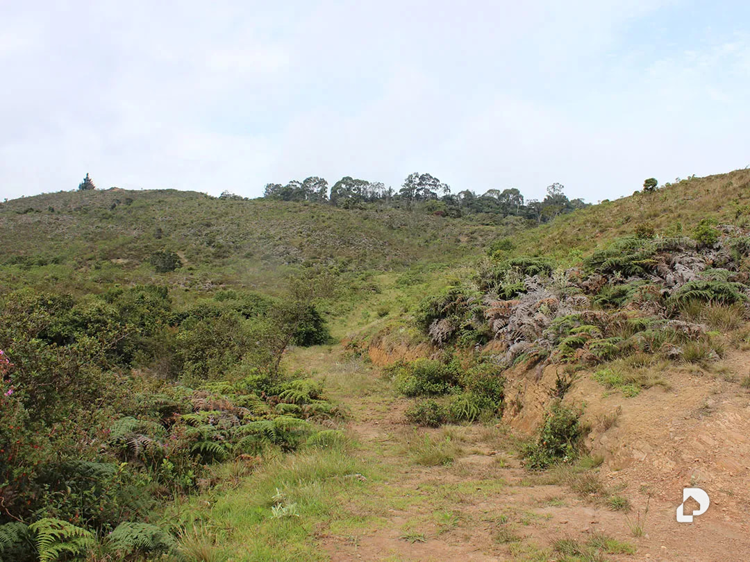 Farm in Vía Pueblos Del Sur, Los Joques – 24
