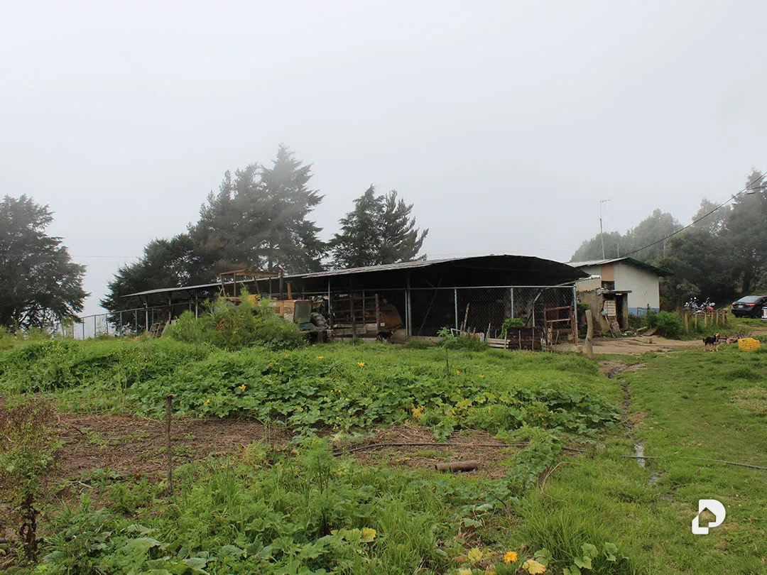 Farm in Vía Pueblos Del Sur, Los Joques – 29