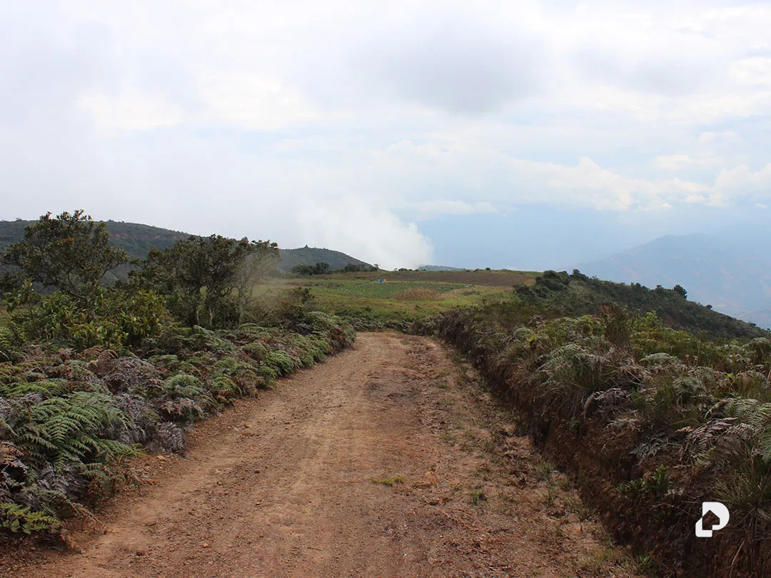 Farm in Vía Pueblos Del Sur, Los Joques – 21