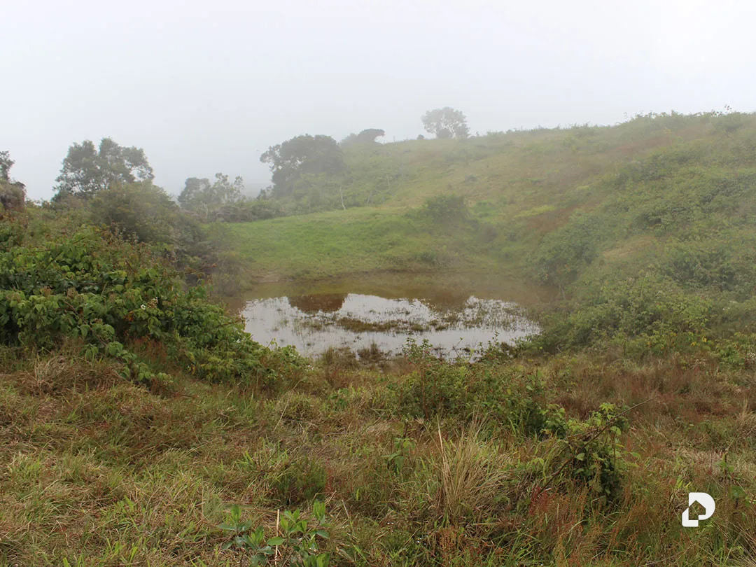 Farm in Vía Pueblos Del Sur, Los Joques – 28