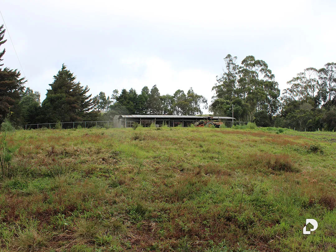 Farm in Vía Pueblos Del Sur, Los Joques – 10