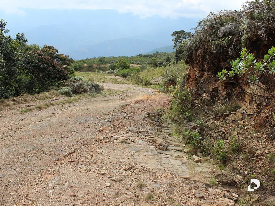 Farm in Vía Pueblos Del Sur, Los Joques – 16