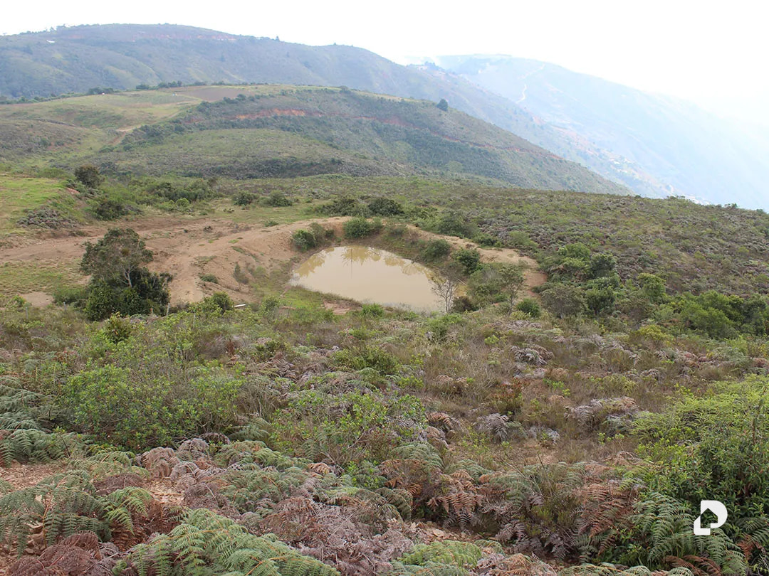 Farm in Vía Pueblos Del Sur, Los Joques – 14
