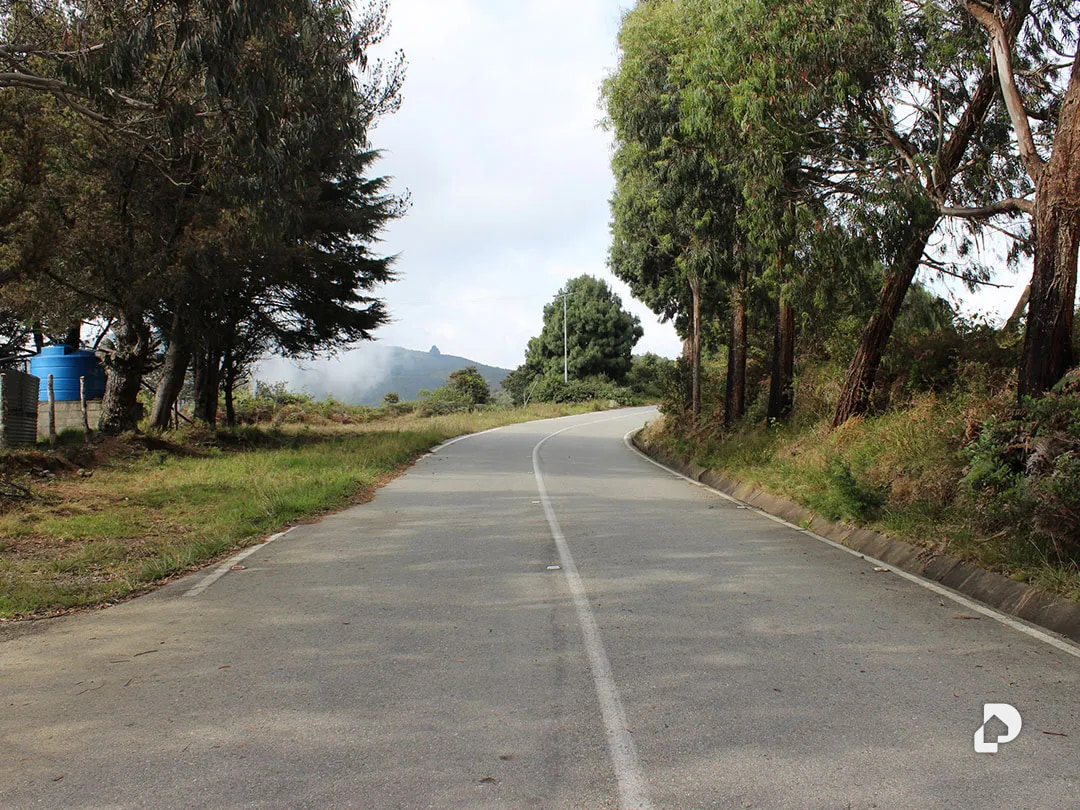 Farm in Vía Pueblos Del Sur, Los Joques – 6